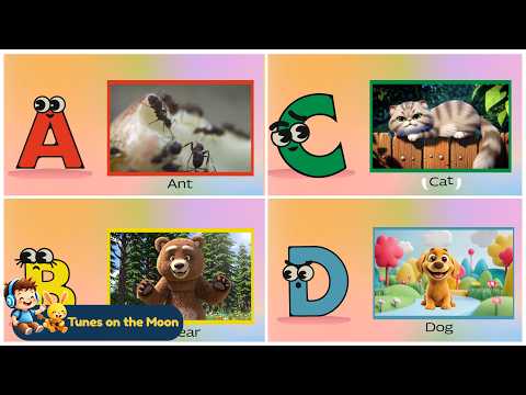 ABC Animals Song | Learn Animals from A to Z 🎵 | @TunesOnTheMoon