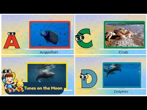A–Z Ocean Animals Song 🌊 Fun Learning for Toddlers | @TunesOnTheMoon