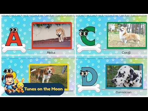Learn Dog Names A–Z 🎵 Kids Alphabet Song | @TunesOnTheMoon